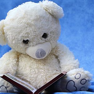 Teddy Read a Book - Image