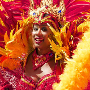 Woman in Carnival Costume - Image