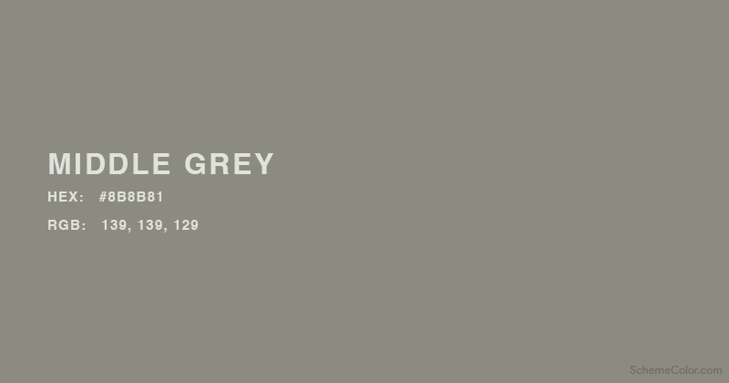 Middle Grey color - Hex:   #8B8B81