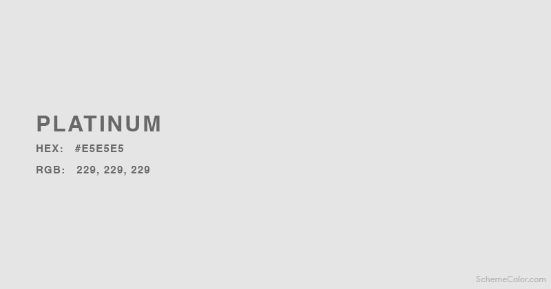 Platinum Color - Hex:   #E5E5E5